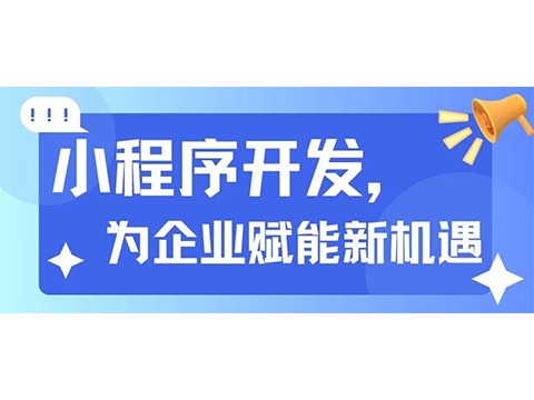 小程序开发，为企业赋能新机缘